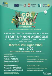 Manifesto Novoli